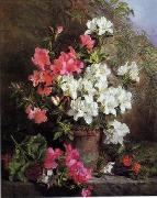 unknow artist Floral, beautiful classical still life of flowers 05 Germany oil painting reproduction